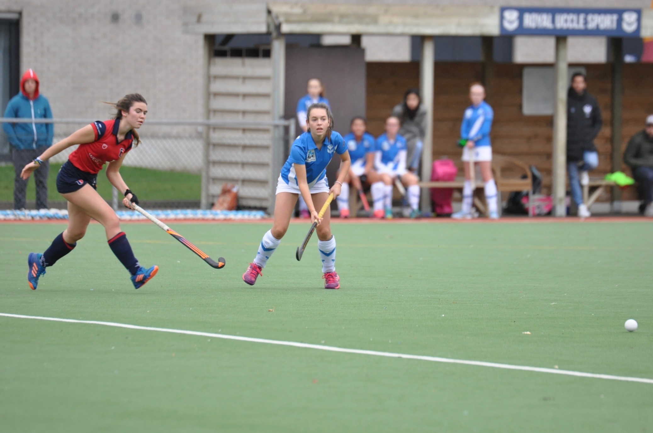 DSC 0045